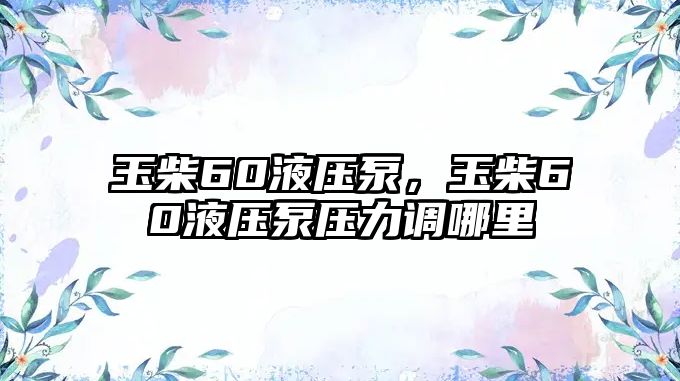 玉柴60液壓泵，玉柴60液壓泵壓力調(diào)哪里