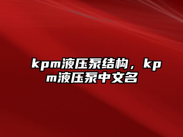 kpm液壓泵結(jié)構(gòu)，kpm液壓泵中文名