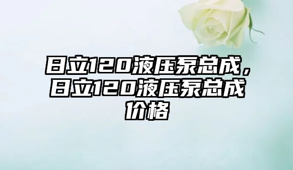 日立120液壓泵總成，日立120液壓泵總成價格