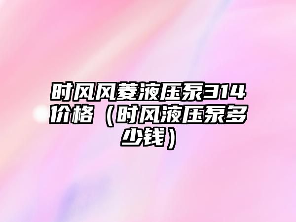 時風(fēng)風(fēng)菱液壓泵314價格（時風(fēng)液壓泵多少錢）