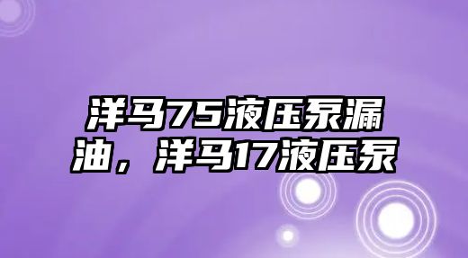 洋馬75液壓泵漏油，洋馬17液壓泵