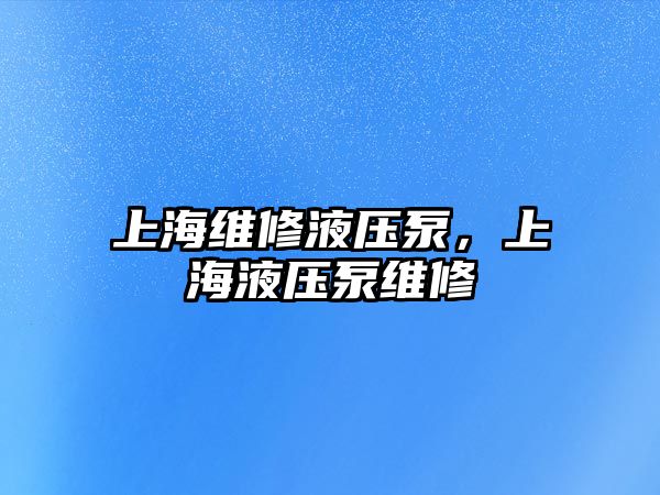 上海維修液壓泵，上海液壓泵維修