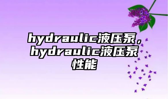 hydraulic液壓泵，hydraulic液壓泵性能