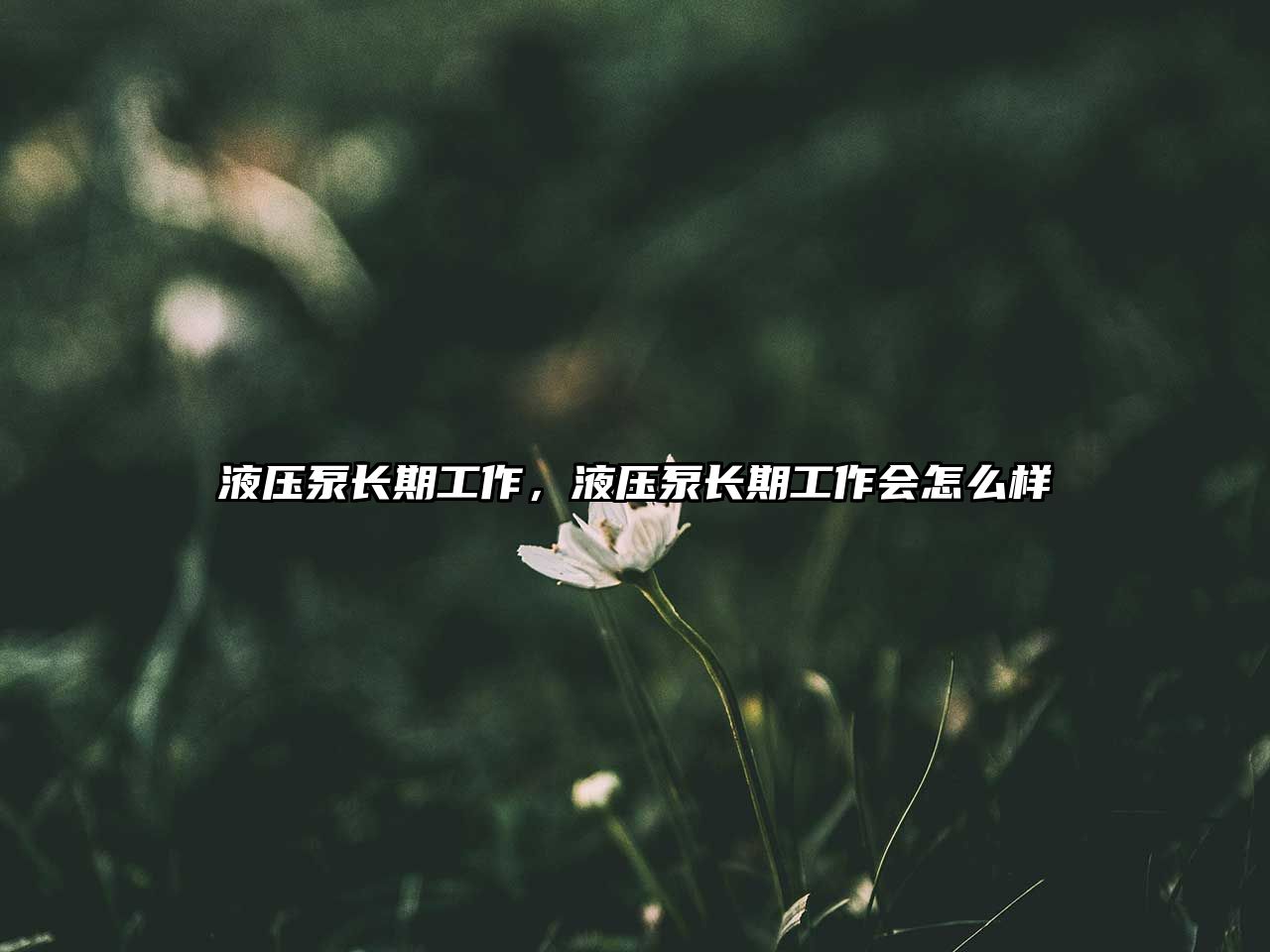 液壓泵長(zhǎng)期工作，液壓泵長(zhǎng)期工作會(huì)怎么樣