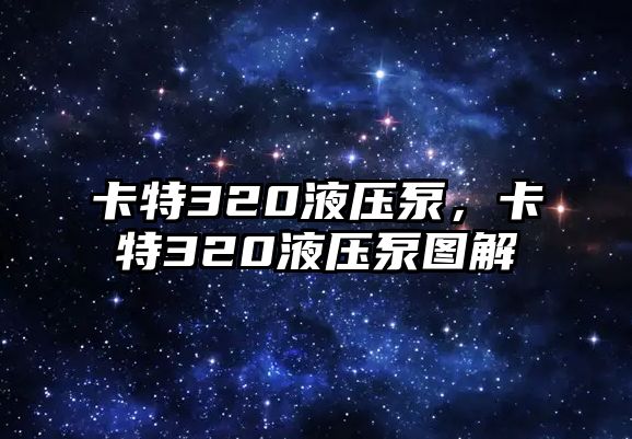 卡特320液壓泵，卡特320液壓泵圖解