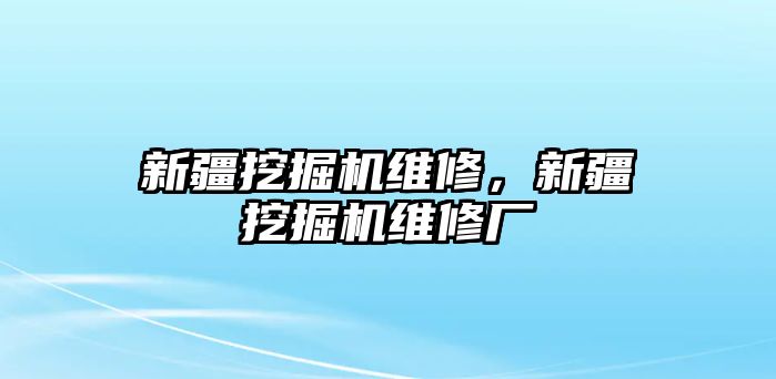 新疆挖掘機維修，新疆挖掘機維修廠