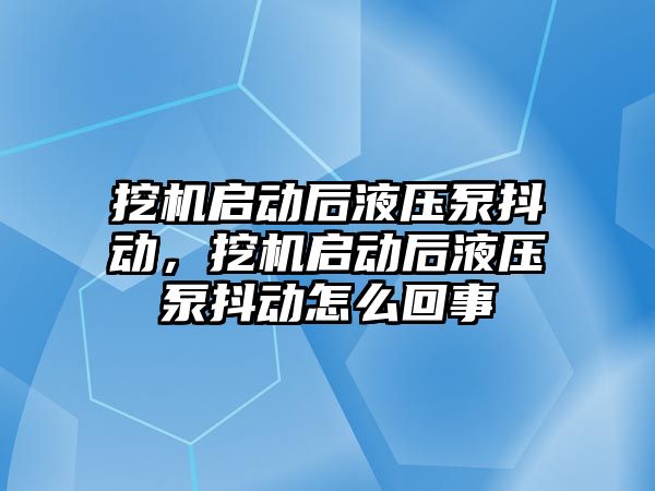 挖機啟動后液壓泵抖動，挖機啟動后液壓泵抖動怎么回事