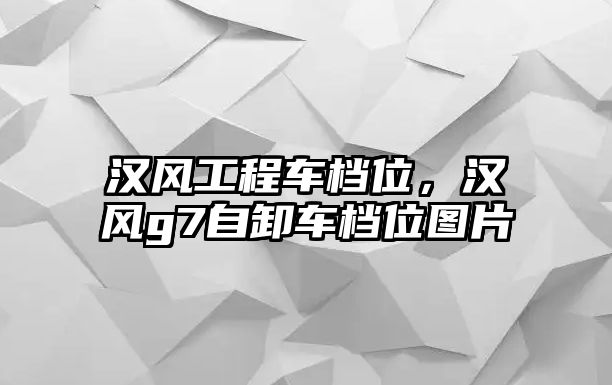 漢風(fēng)工程車檔位，漢風(fēng)g7自卸車檔位圖片