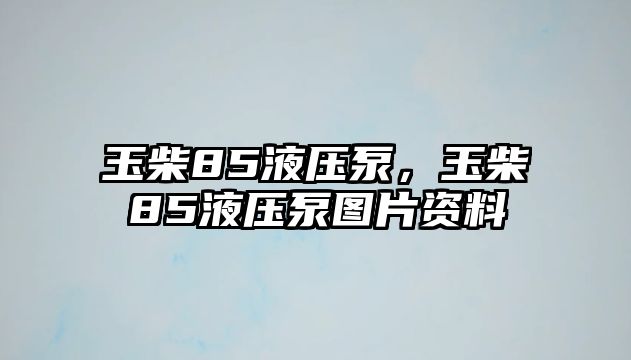 玉柴85液壓泵，玉柴85液壓泵圖片資料