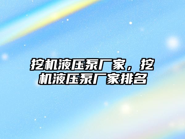 挖機液壓泵廠家，挖機液壓泵廠家排名