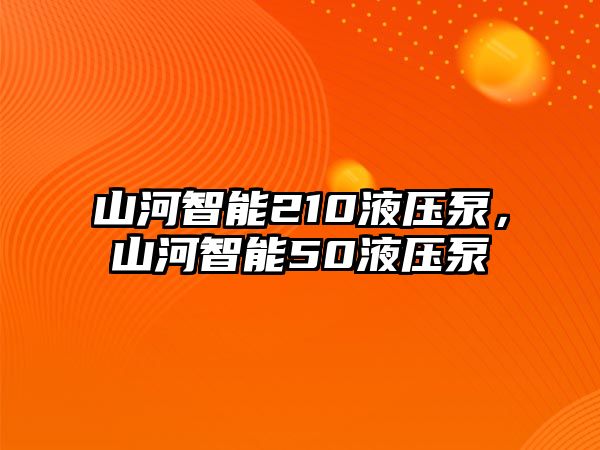 山河智能210液壓泵，山河智能50液壓泵