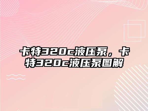 卡特320c液壓泵，卡特320c液壓泵圖解