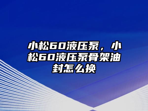 小松60液壓泵，小松60液壓泵骨架油封怎么換