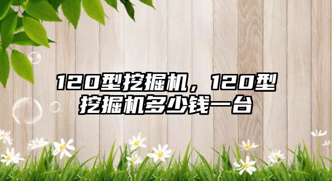 120型挖掘機，120型挖掘機多少錢一臺