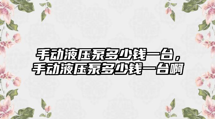 手動液壓泵多少錢一臺，手動液壓泵多少錢一臺啊