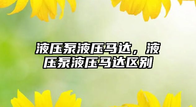 液壓泵液壓馬達(dá)，液壓泵液壓馬達(dá)區(qū)別