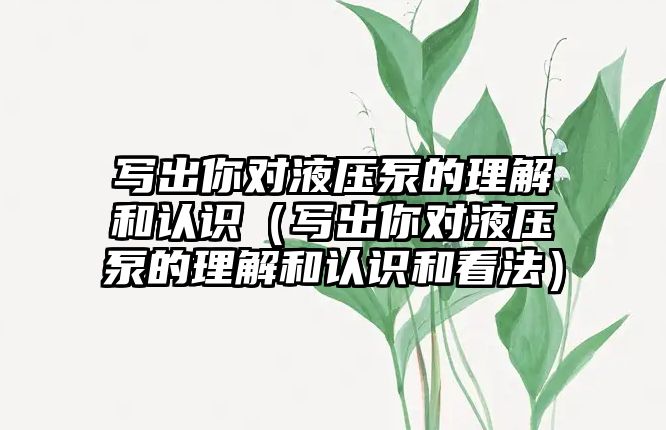 寫出你對液壓泵的理解和認識（寫出你對液壓泵的理解和認識和看法）