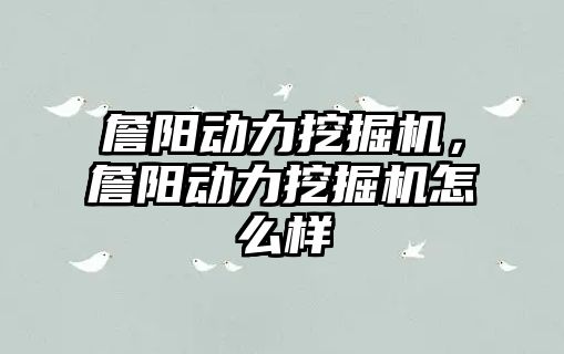 詹陽動力挖掘機，詹陽動力挖掘機怎么樣