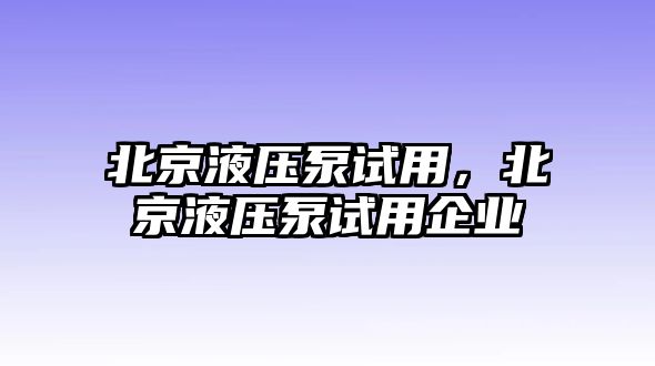 北京液壓泵試用，北京液壓泵試用企業(yè)