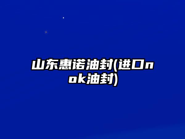 山東惠諾油封(進口nok油封)