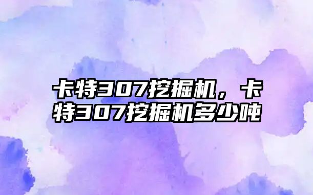 卡特307挖掘機(jī)，卡特307挖掘機(jī)多少?lài)? class=