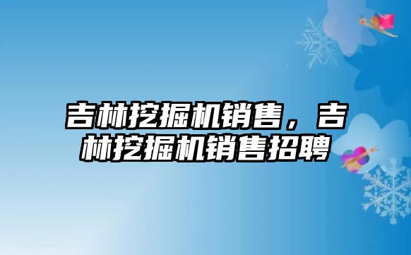 吉林挖掘機銷售，吉林挖掘機銷售招聘