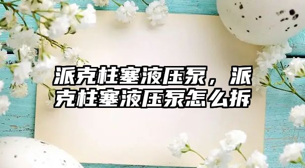 派克柱塞液壓泵，派克柱塞液壓泵怎么拆