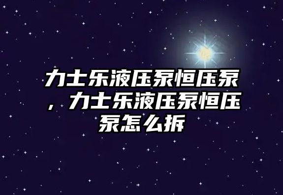 力士樂液壓泵恒壓泵，力士樂液壓泵恒壓泵怎么拆