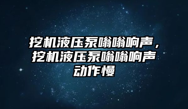 挖機液壓泵嗡嗡響聲，挖機液壓泵嗡嗡響聲動作慢