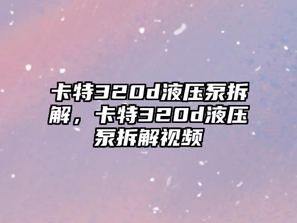 卡特320d液壓泵拆解，卡特320d液壓泵拆解視頻