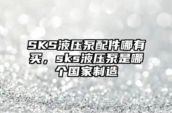 SKS液壓泵配件哪有買，sks液壓泵是哪個國家制造