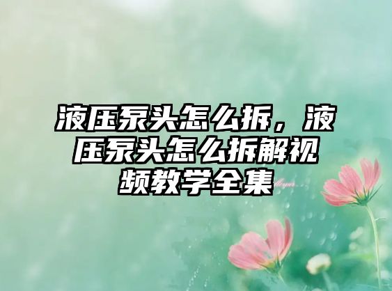 液壓泵頭怎么拆，液壓泵頭怎么拆解視頻教學(xué)全集