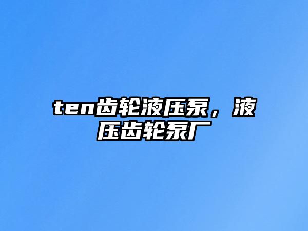 ten齒輪液壓泵，液壓齒輪泵廠