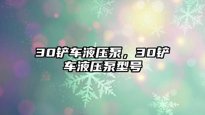 30鏟車液壓泵，30鏟車液壓泵型號