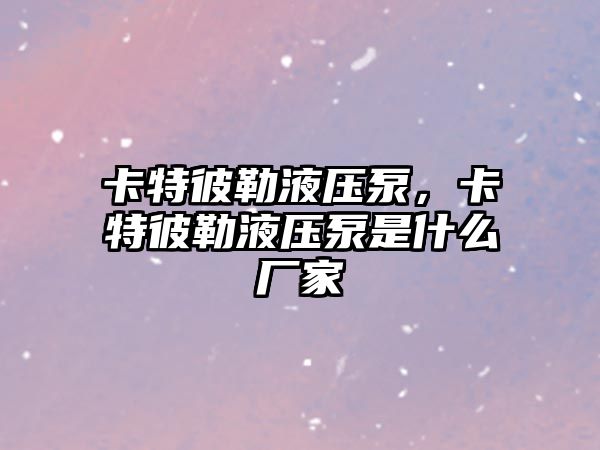 卡特彼勒液壓泵，卡特彼勒液壓泵是什么廠家