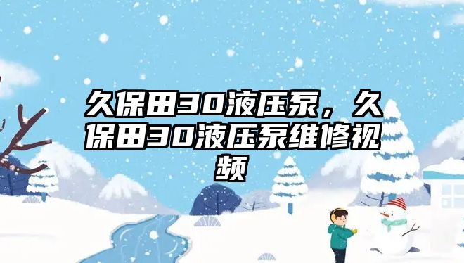 久保田30液壓泵，久保田30液壓泵維修視頻