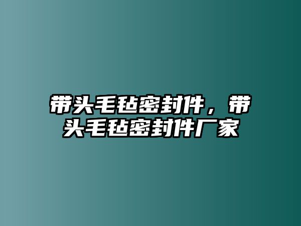 帶頭毛氈密封件，帶頭毛氈密封件廠家