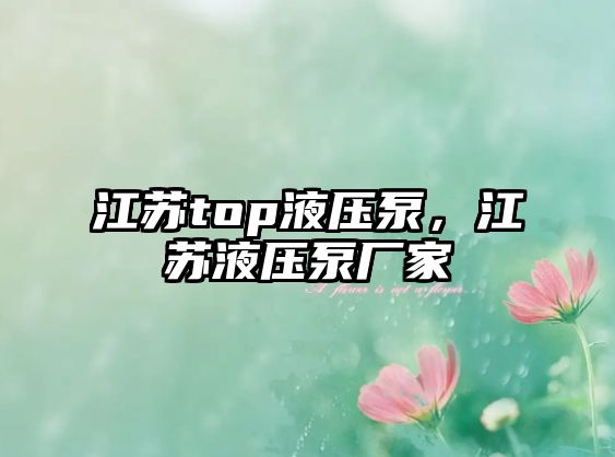 江蘇top液壓泵，江蘇液壓泵廠家