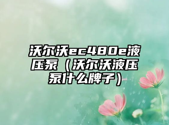 沃爾沃ec480e液壓泵（沃爾沃液壓泵什么牌子）