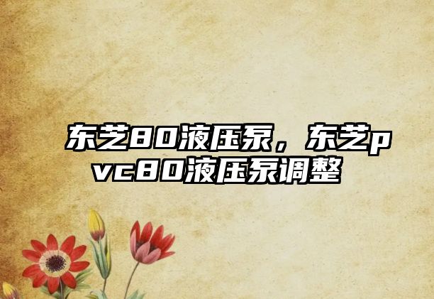 東芝80液壓泵，東芝pvc80液壓泵調(diào)整