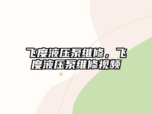 飛度液壓泵維修，飛度液壓泵維修視頻