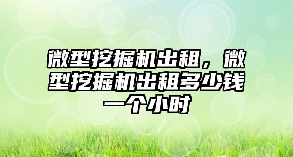 微型挖掘機出租，微型挖掘機出租多少錢一個小時