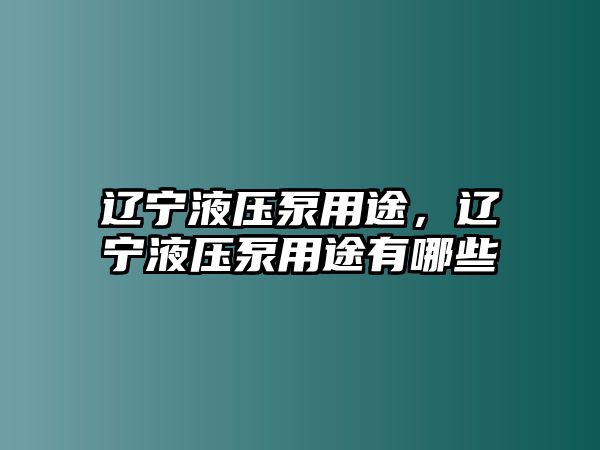 遼寧液壓泵用途，遼寧液壓泵用途有哪些