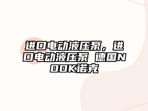 進口電動液壓泵，進口電動液壓泵 德國NOOK諾克