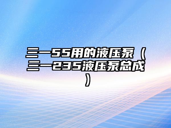 三一55用的液壓泵（三一235液壓泵總成）