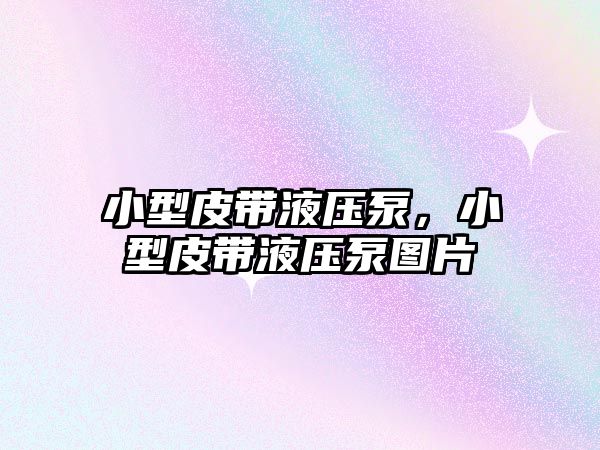 小型皮帶液壓泵，小型皮帶液壓泵圖片