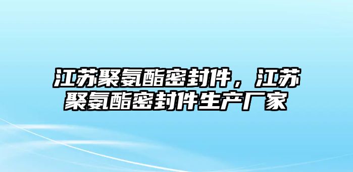 江蘇聚氨酯密封件，江蘇聚氨酯密封件生產廠家