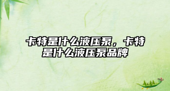 卡特是什么液壓泵，卡特是什么液壓泵品牌