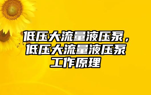 低壓大流量液壓泵，低壓大流量液壓泵工作原理