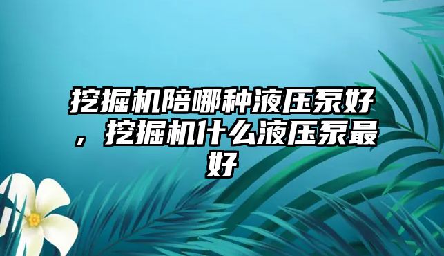 挖掘機陪哪種液壓泵好，挖掘機什么液壓泵最好